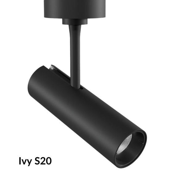 Ivy-s20-lolight