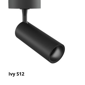 Ivy-s12-lolight