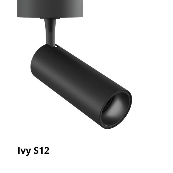 Ivy-s12-lolight